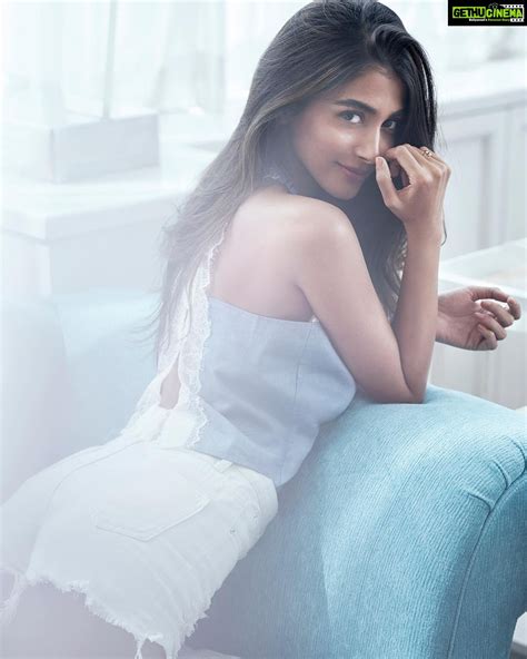 pooja hegde xxx|Pooja Hegde: Humiliation Porn